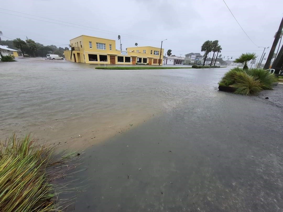 Ayla’s Acres’ thrift shop in St. Augustine has been closed due to flood damage from Tropical Storm Ian, which means the rescue has not had that revenue coming in.